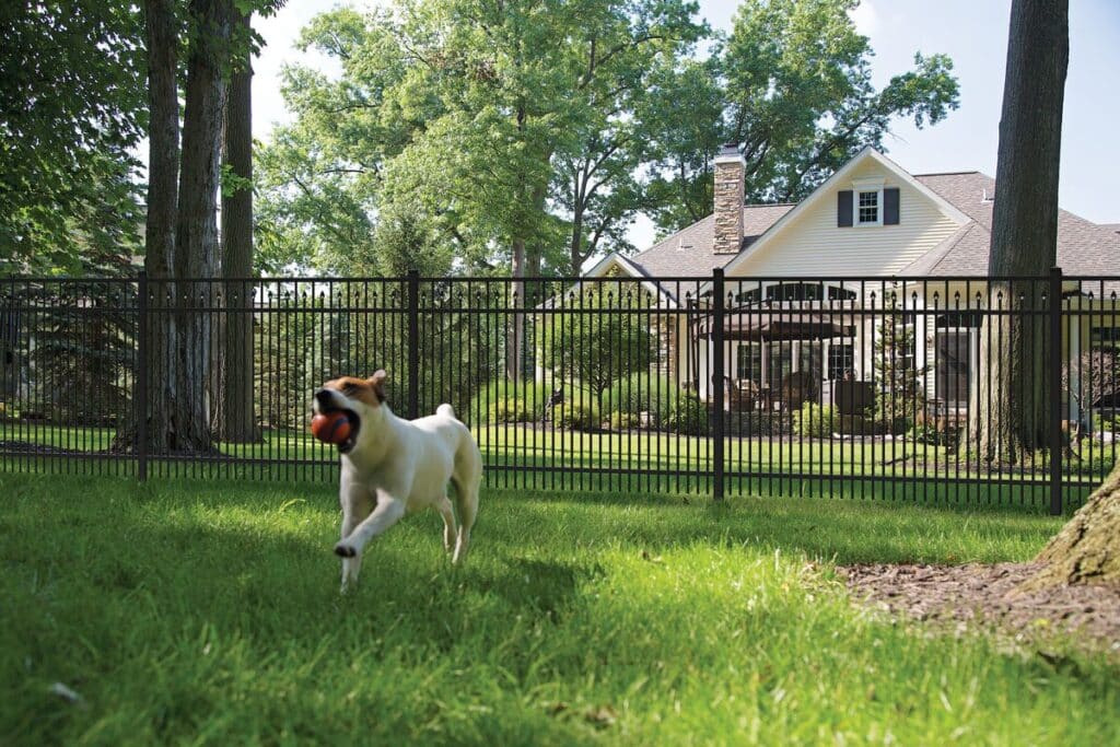 Best Fences For Dogs - Pet Friendly Fencing Ideas